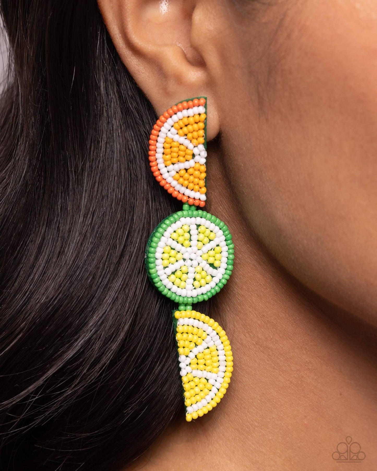 Fresh Fruit - Multi earrings