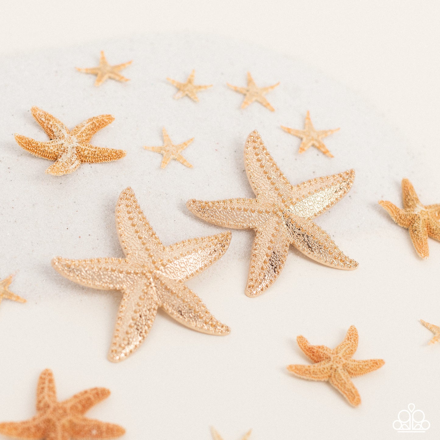 Starfish Season - Gold earrings